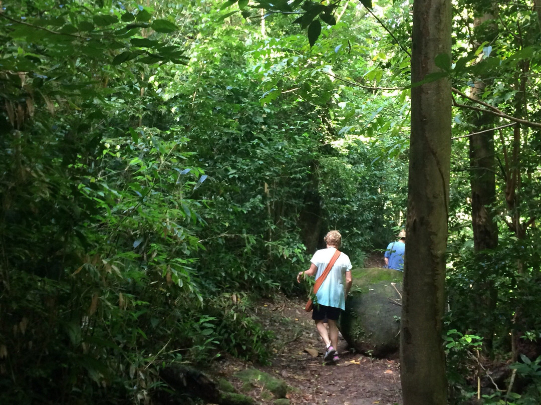 Duberry-Cassava Trail-蒙特塞拉特必去景点