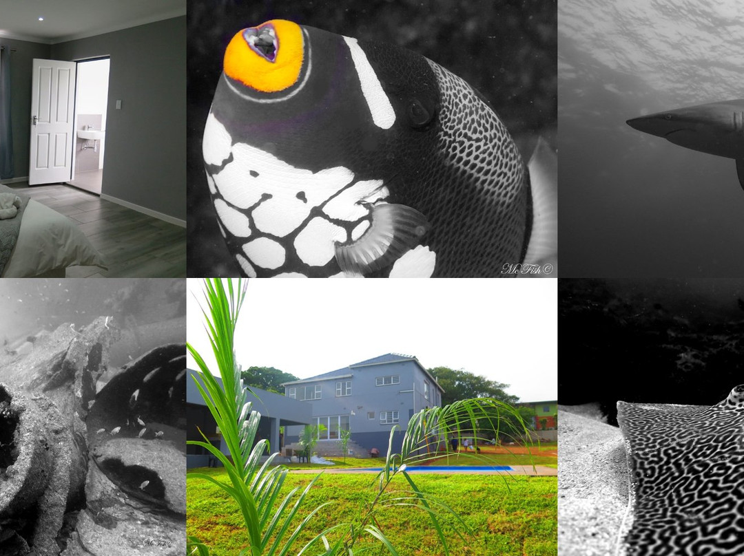 Scubaco Diving & Travel-Umkomaas必去景点