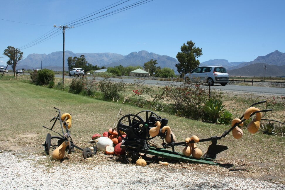 Die Pampoen Padstalletjie-伍斯特必去景点