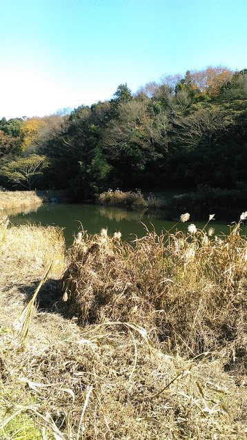 Chigasaki Satoyama Park景点图片