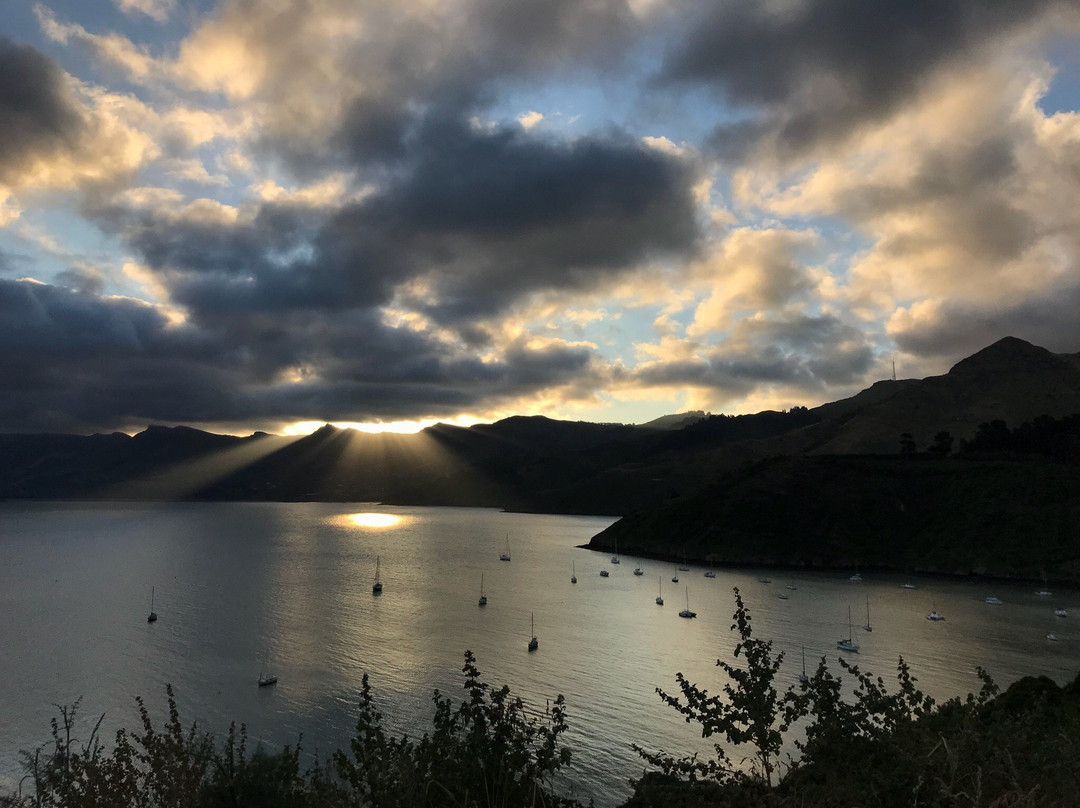 Corsair Bay-基督城必去景点