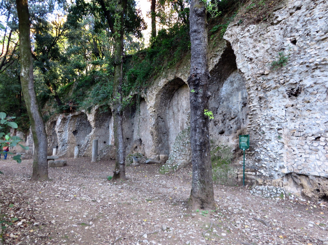 Villa di Manlio Vopisco景点图片