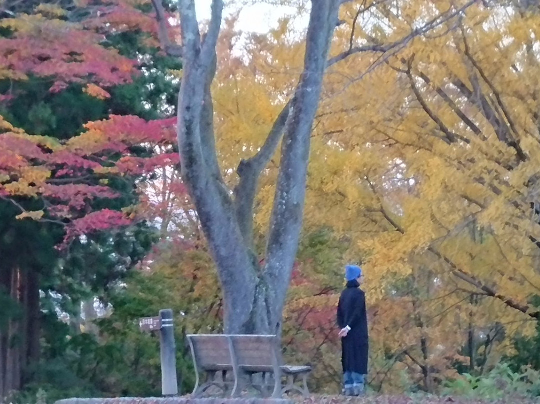 Tsuriyama Park-一关市必去景点