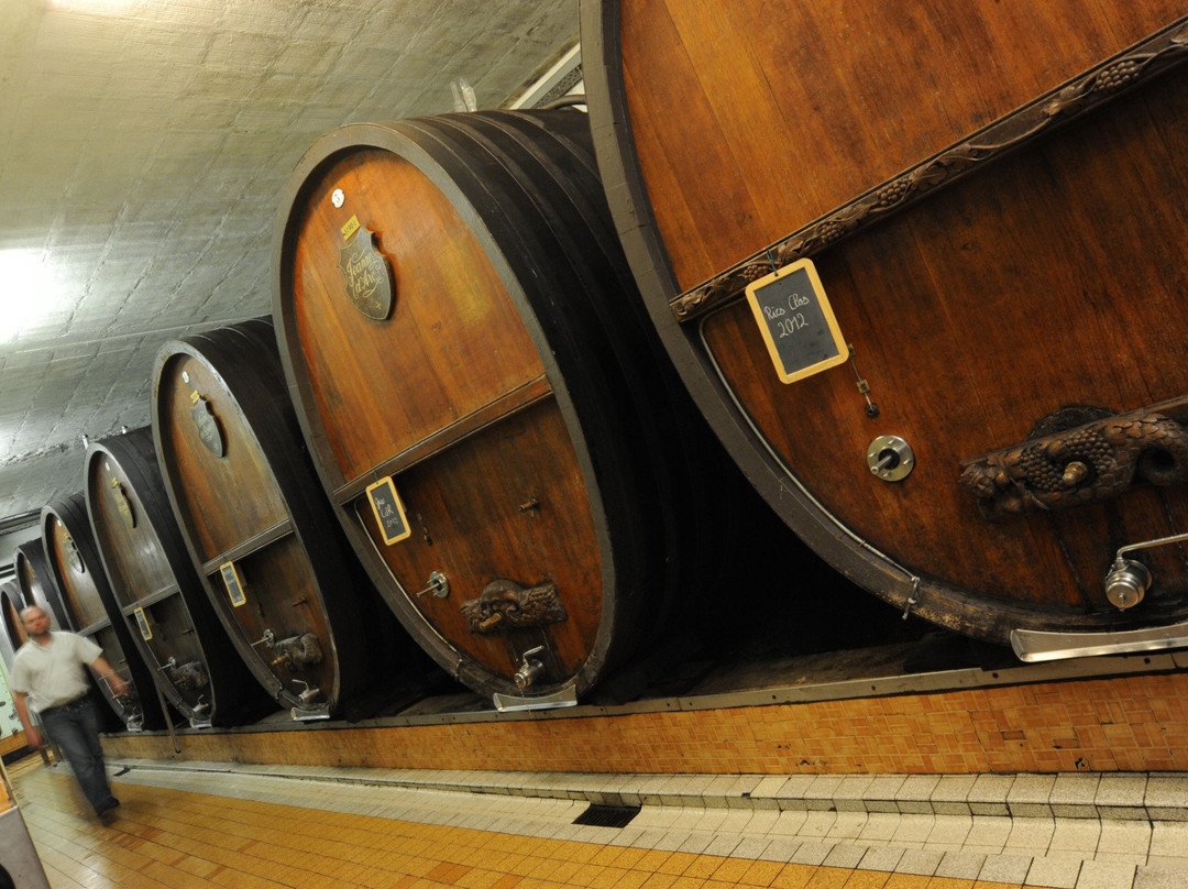 Domaine du Clos Saint Landelin  Véronique & Thomas Muré-Rouffach必去景点
