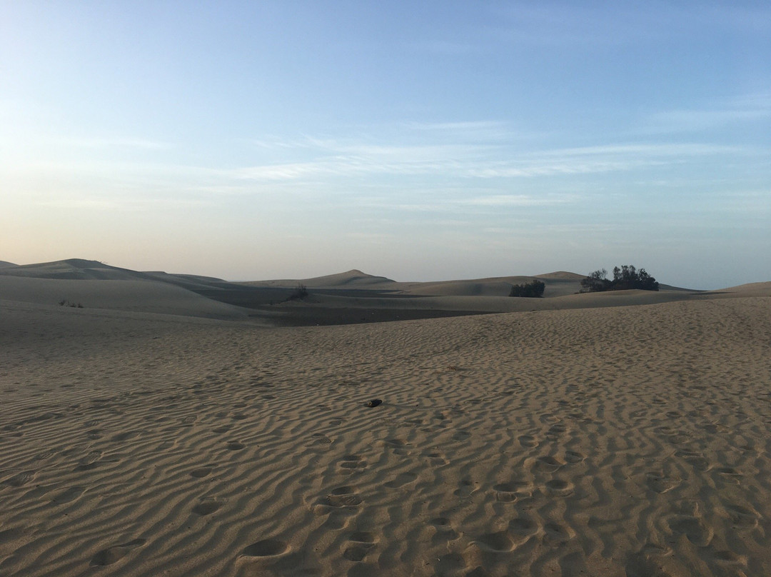 Kiosco Beach No 7景点图片
