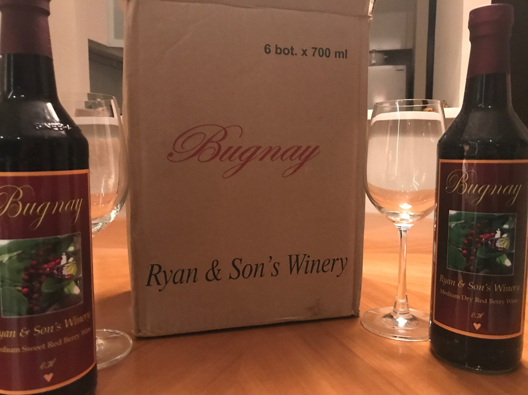 Ryan & Sons Winery-Tabuk必去景点