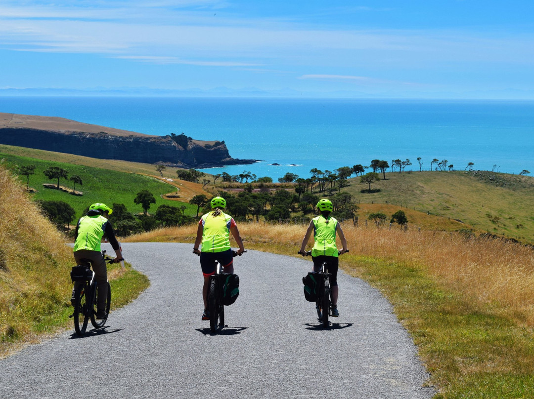 Akaroa Ebike Safaris景点图片
