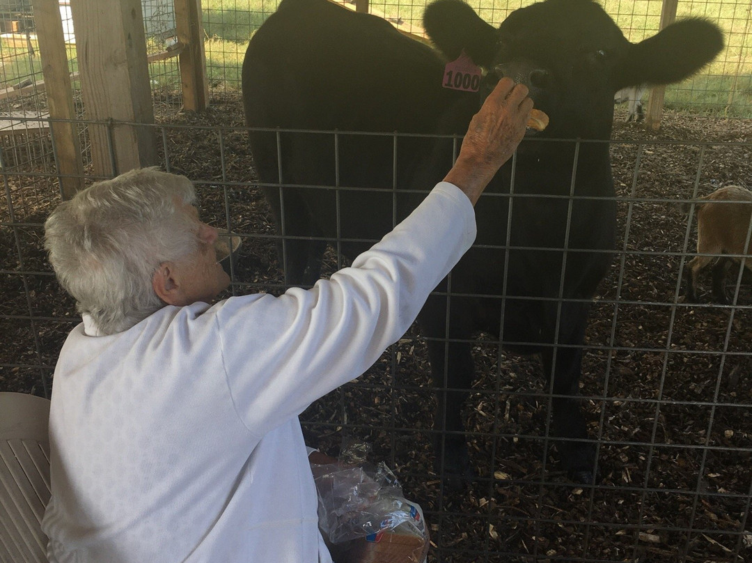 Warbington Farms-卡明必去景点