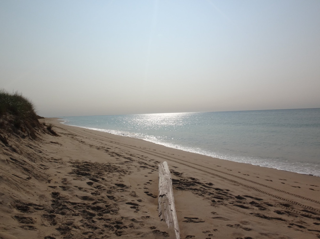 Norton Point Beach景点图片