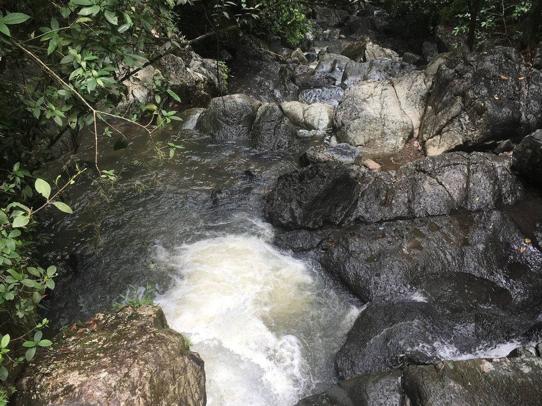 Catarata La Mina-云盖国家森林公园必去景点