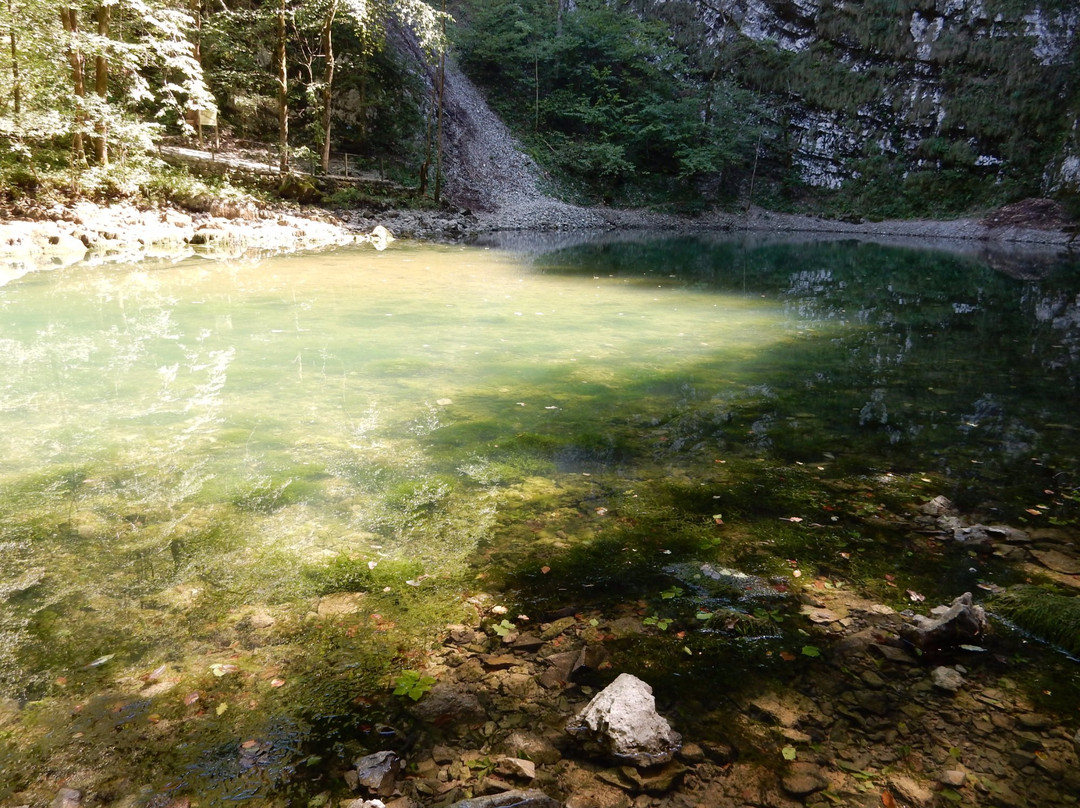 Divje Jezero