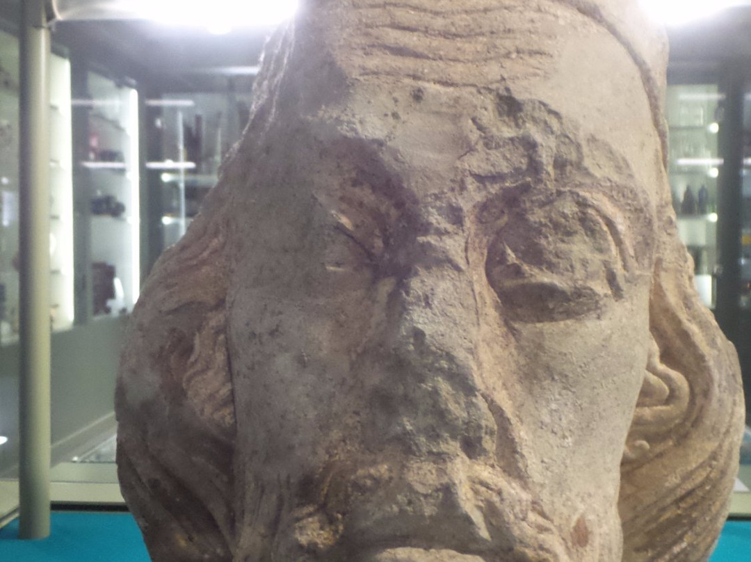 Epping Forest District Museum景点图片