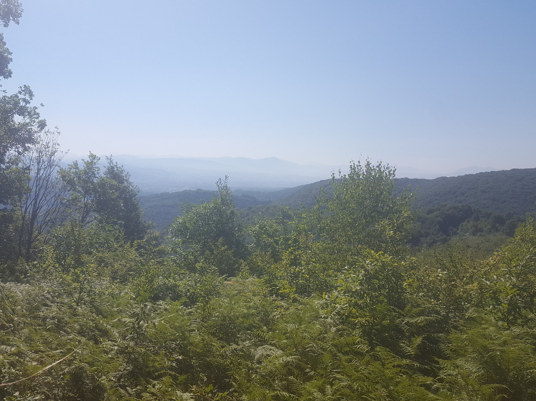 Stari Majdan景点图片