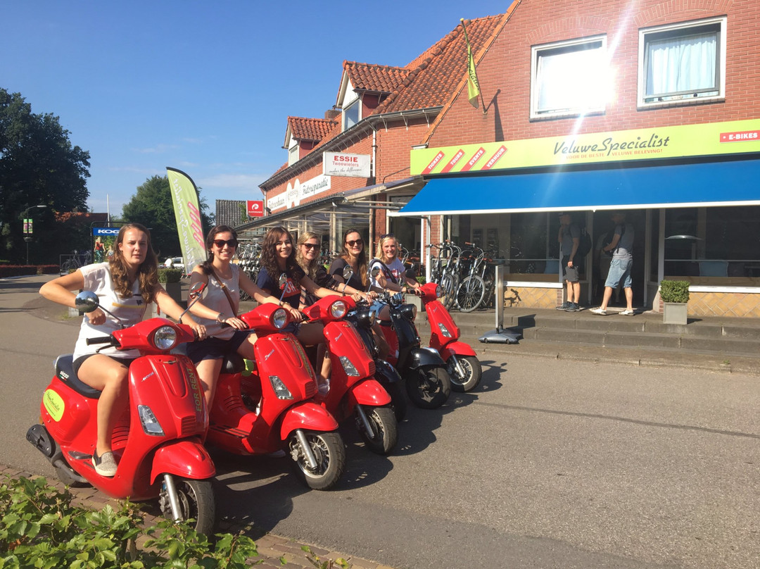 Veluwe Specialist Hoenderloo景点图片