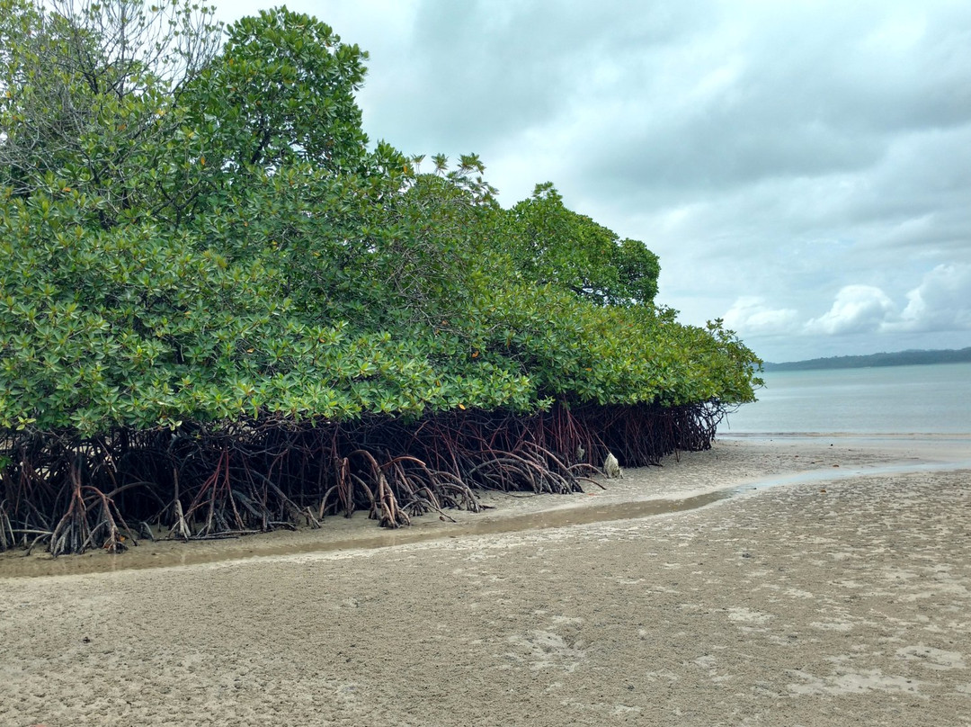 Red Skin Island景点图片
