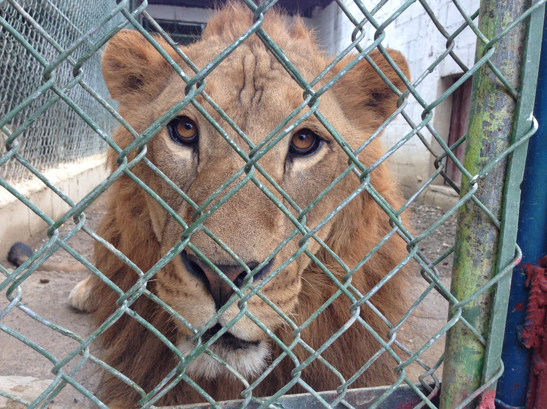 Parque Zoologico Gurabo-圣地亚哥必去景点