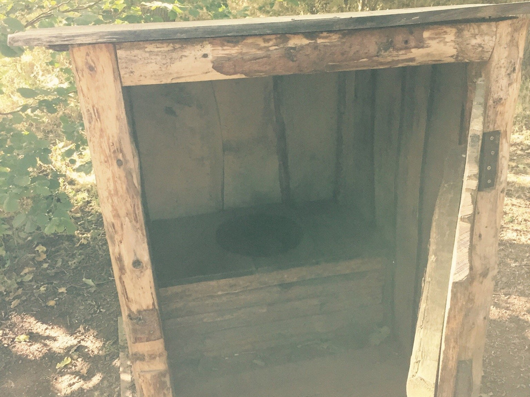 Plessey Woods Art Trail-Bedlington必去景点