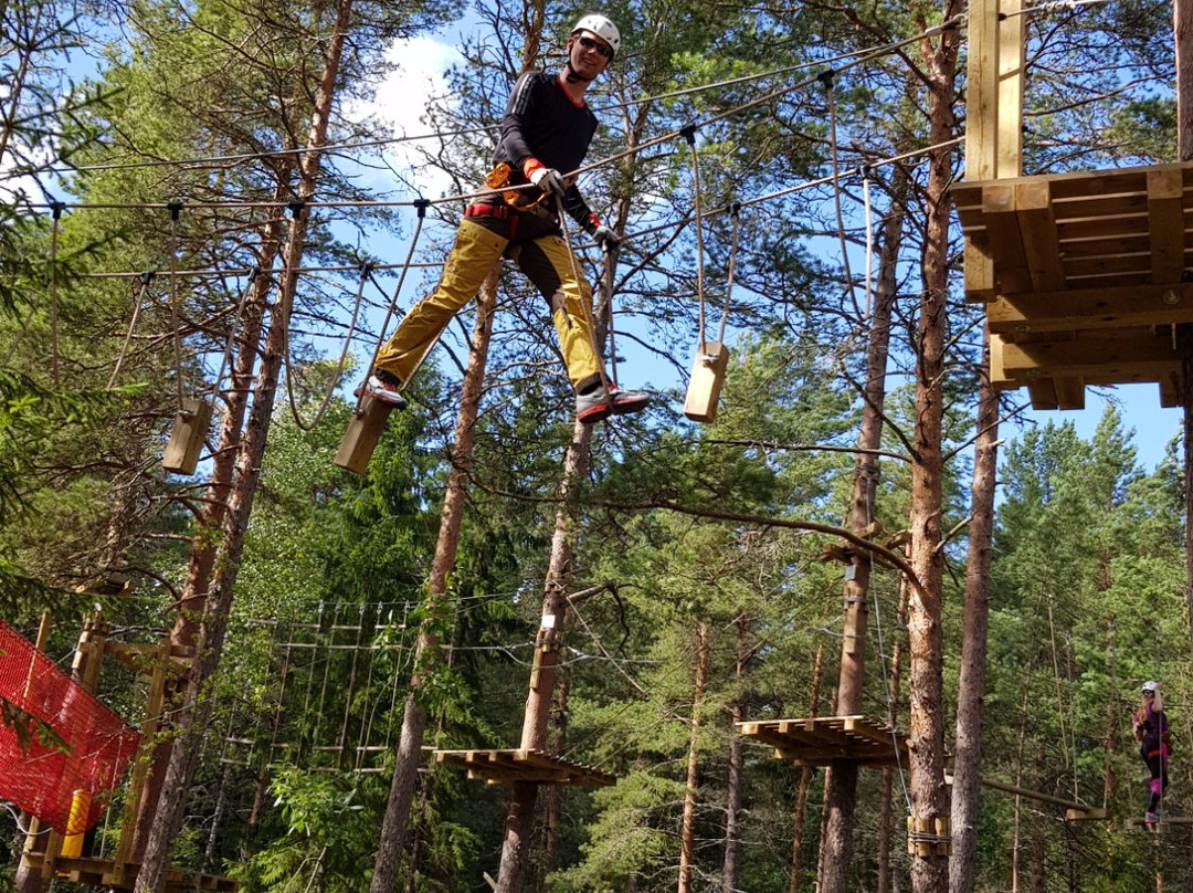 Zip Adventure Park-瓦萨必去景点