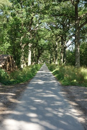 Copenhagen Nature Tours景点图片