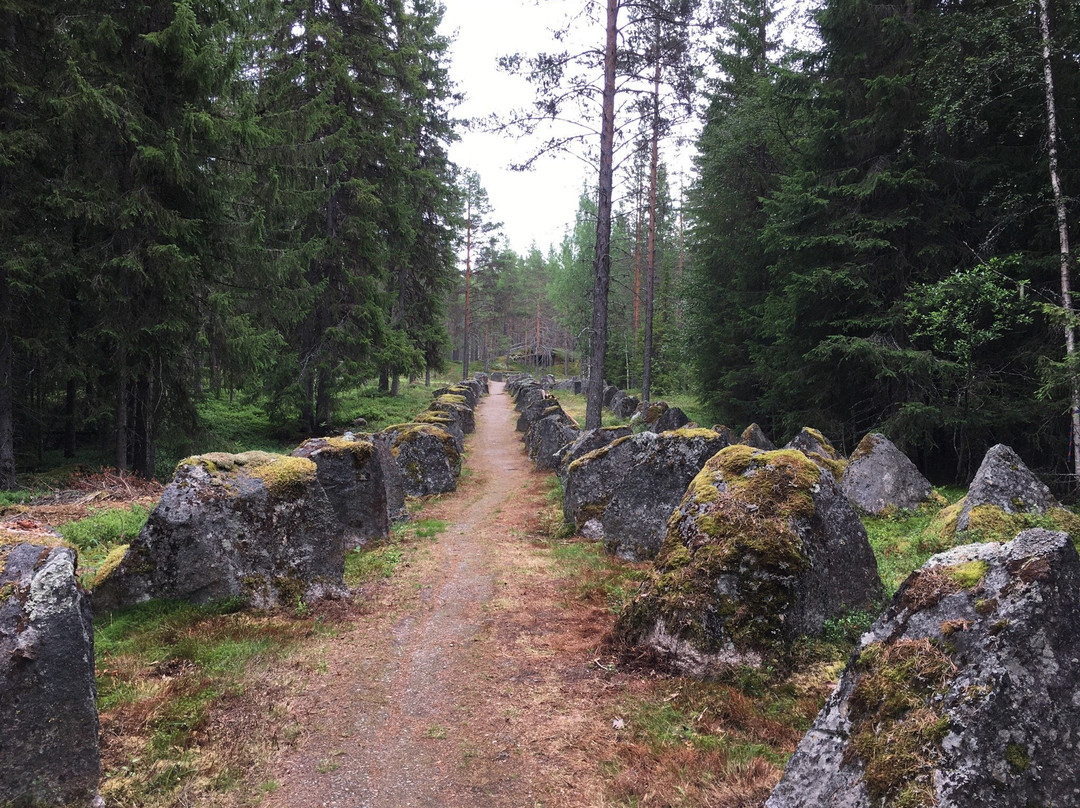 Lomkällan, Särna skogsmuseum景点图片
