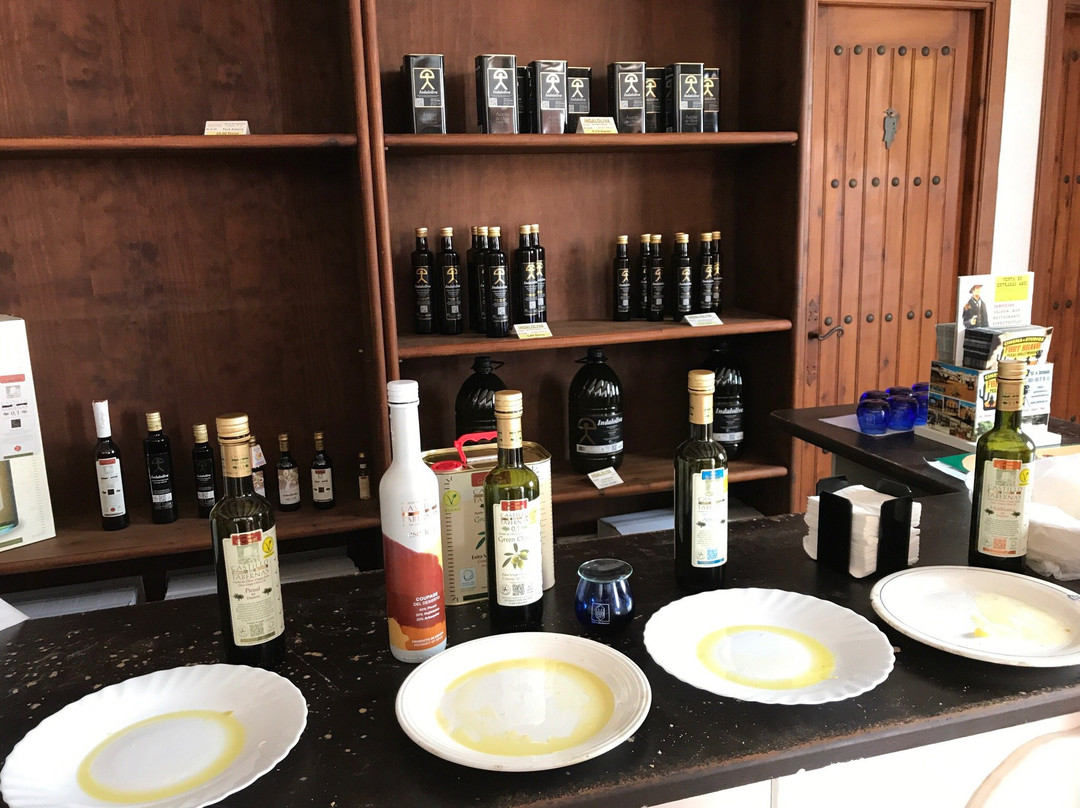 Almazara Aceite Castillo de Tabernas景点图片