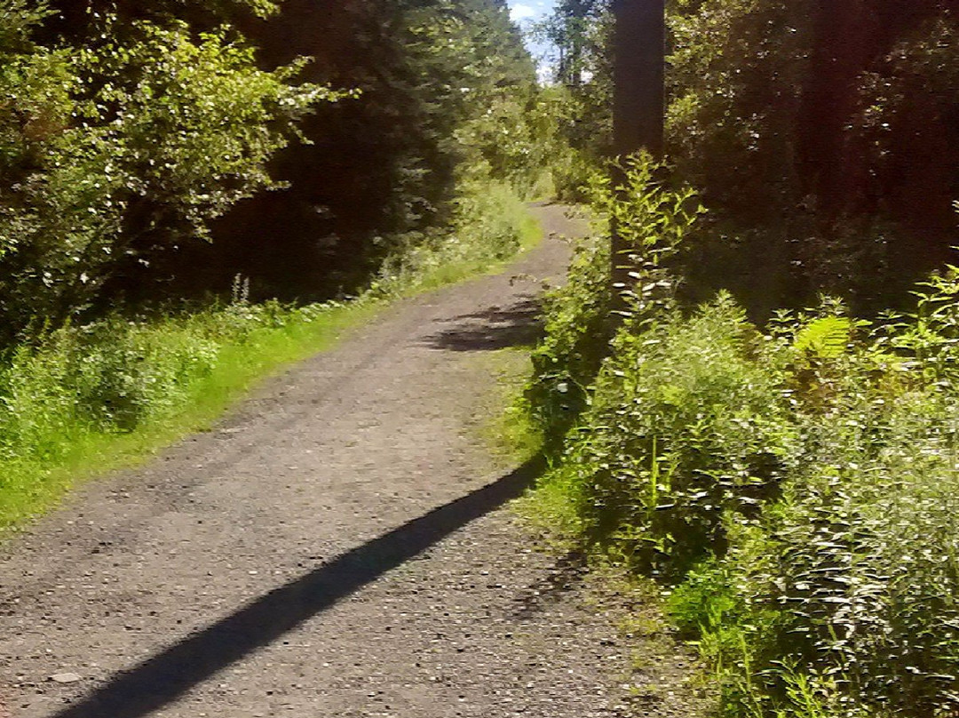 Parc du Bois-Beckett-舍布鲁克必去景点