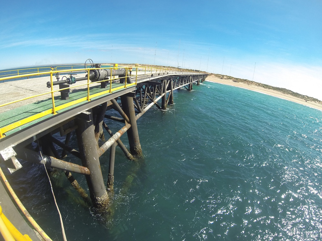 Navy Pier Exmouth-埃克斯茅斯必去景点