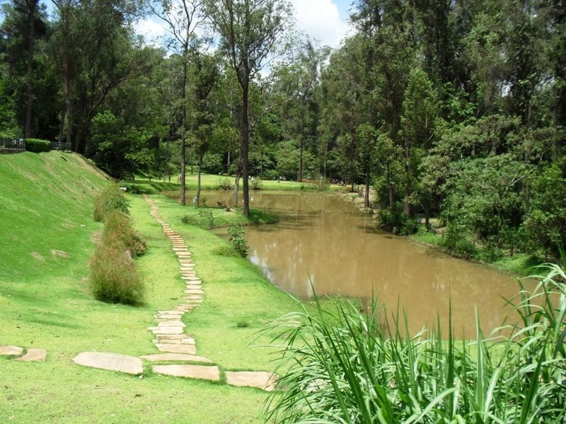 Parque Ecologico