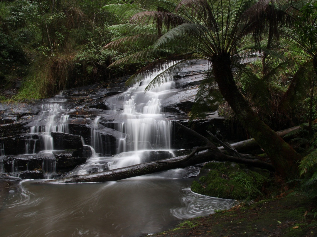 Cora Lynn Cascades Walk-洛恩必去景点