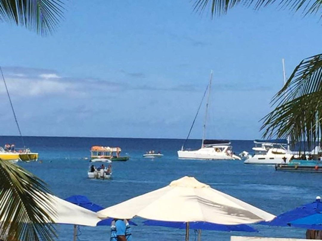 All Stars Exclusive Taxi Service-奥伊斯廷斯必去景点