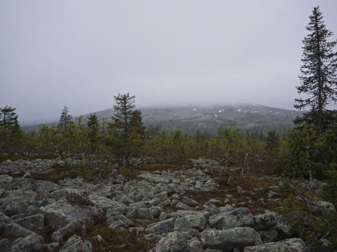 Ruijanpolku Trail-撒利塞卡必去景点