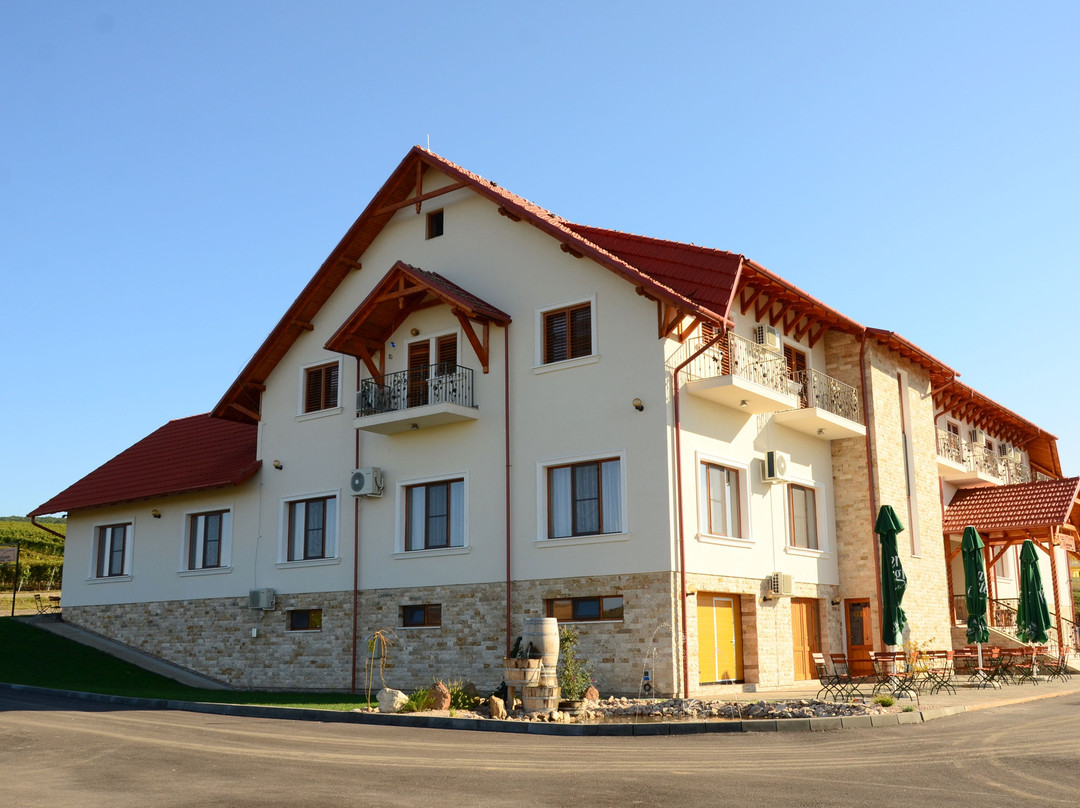 Pensiunea Fort Silvan