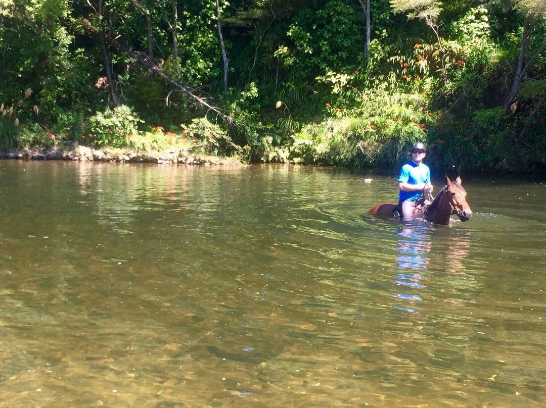 Rangihau Ranch-Coroglen必去景点