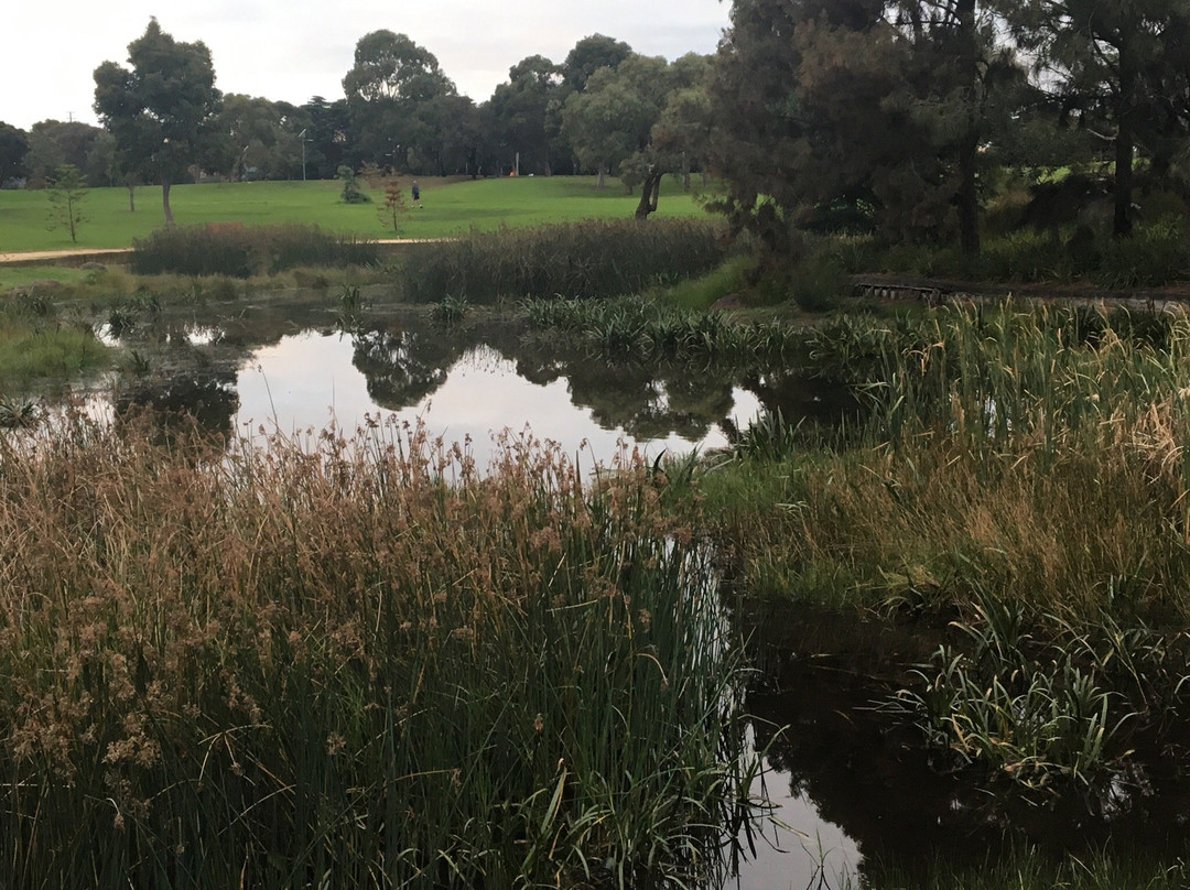 Sir William Fry Reserve景点图片