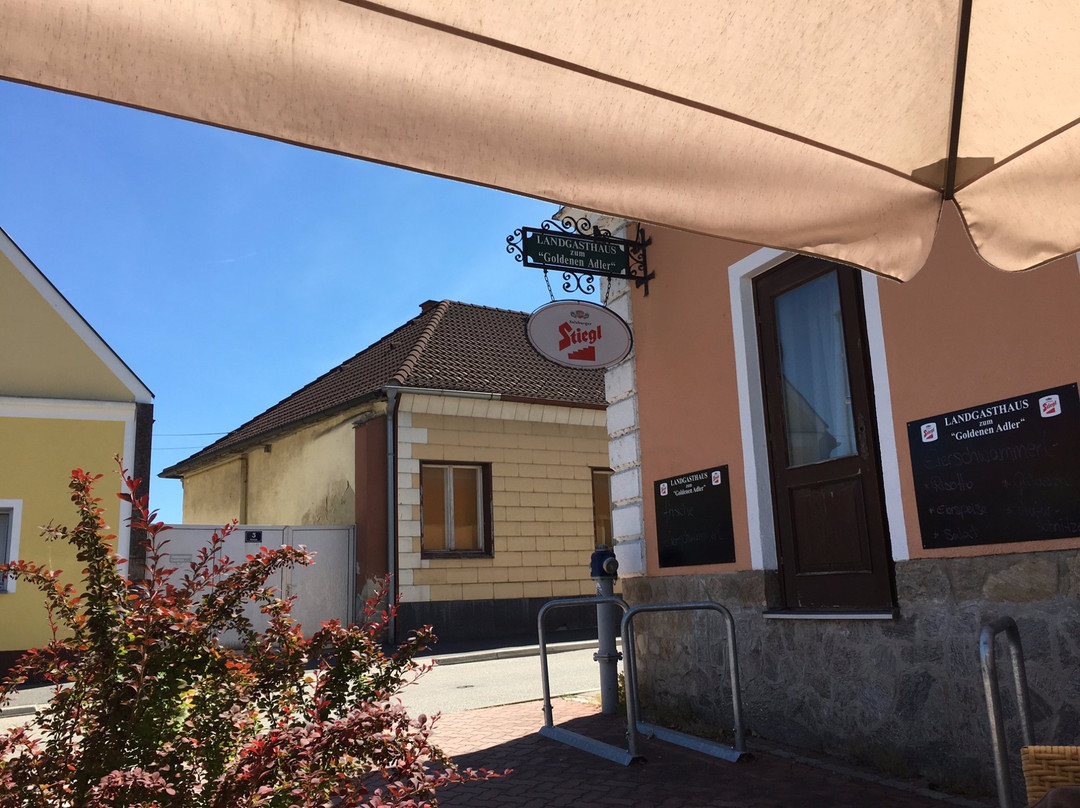 费夏门德餐馆和美食-Zum Goldenen Adler