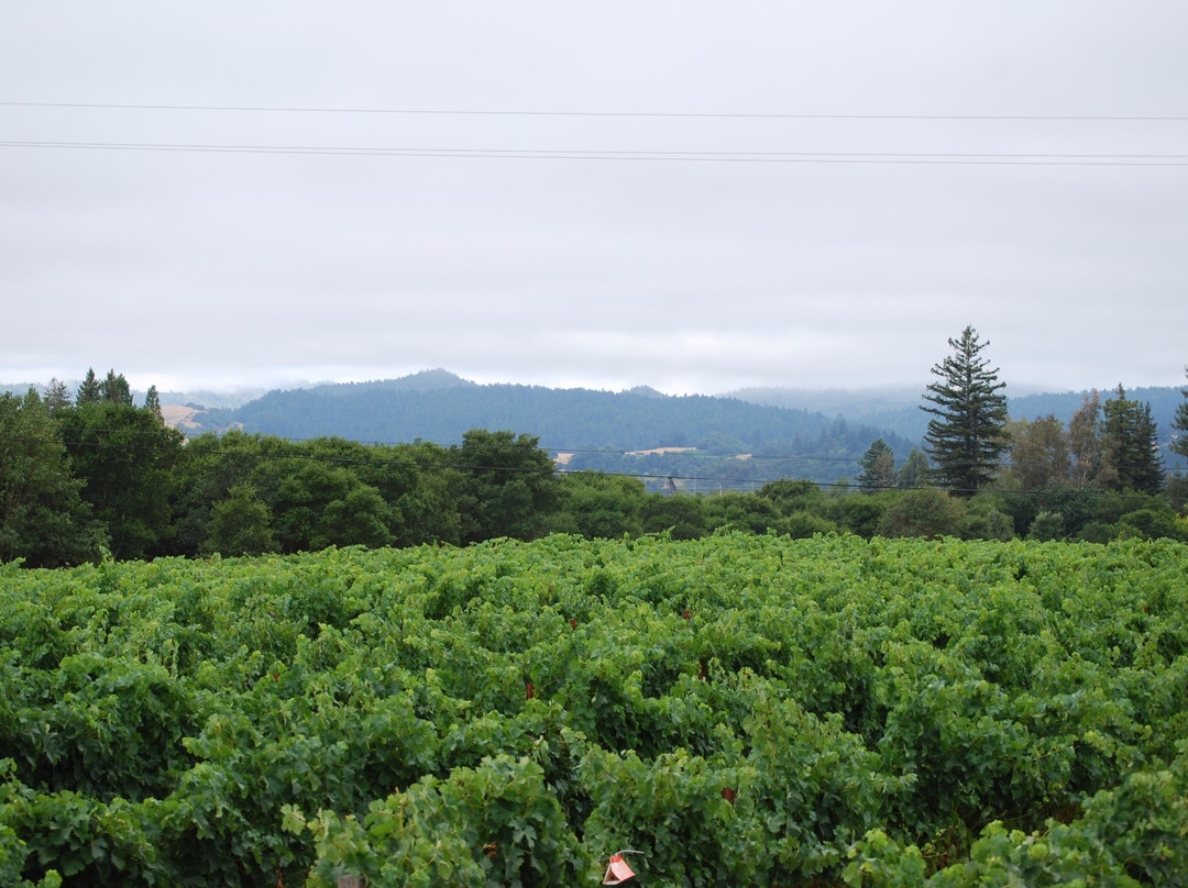 Merriam Vineyards Winery景点图片