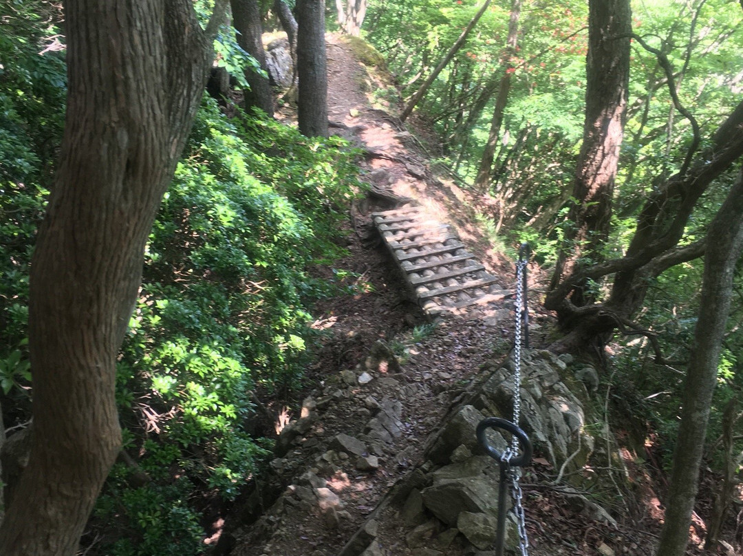 Mt. Mitsumine景点图片