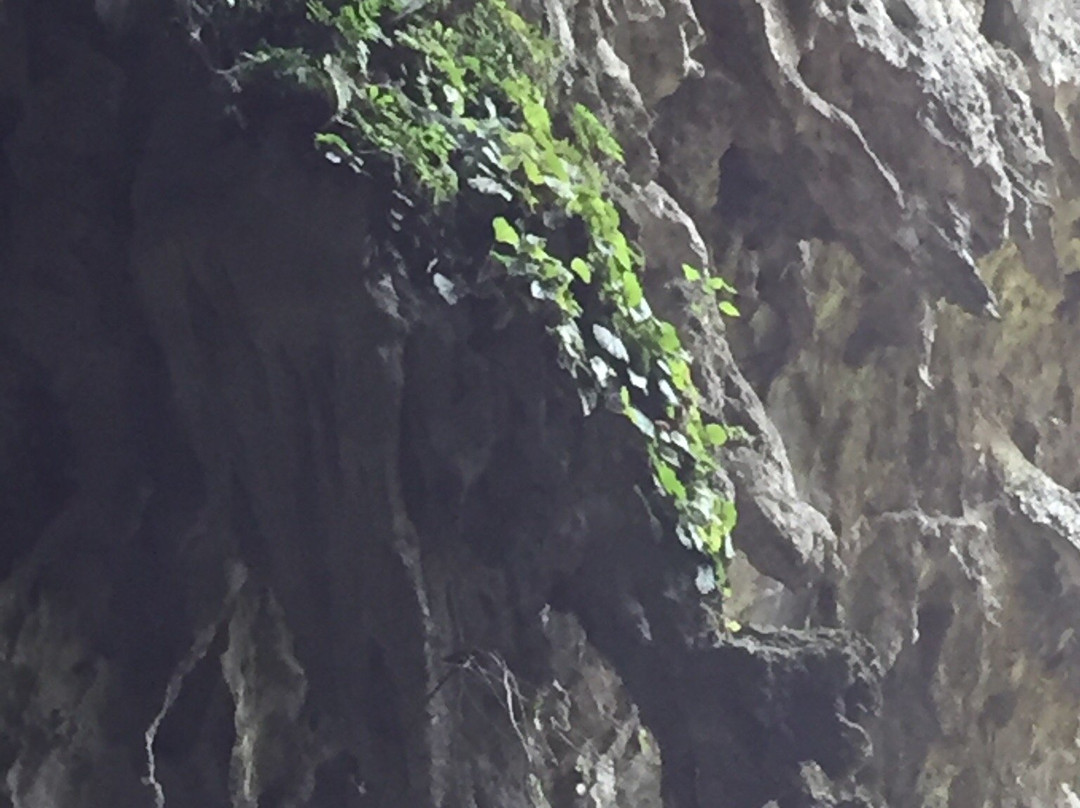 百魔洞景点图片