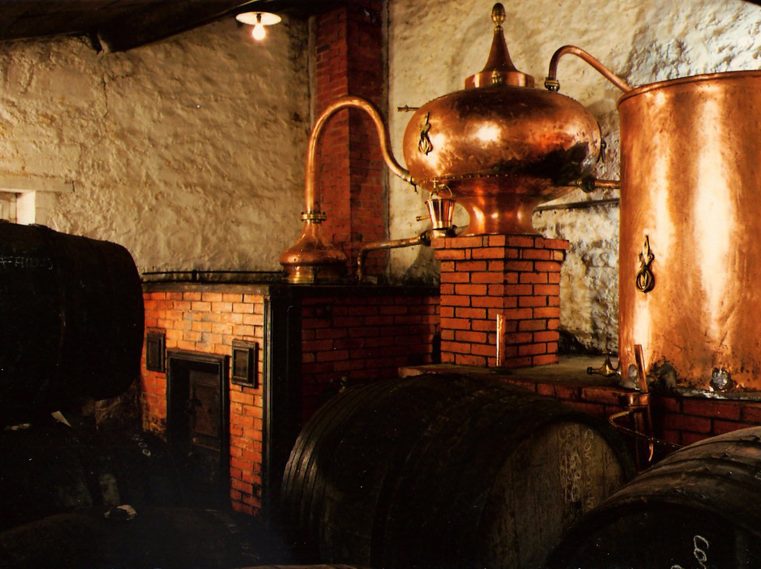 Cognac La Grange du Bois景点图片