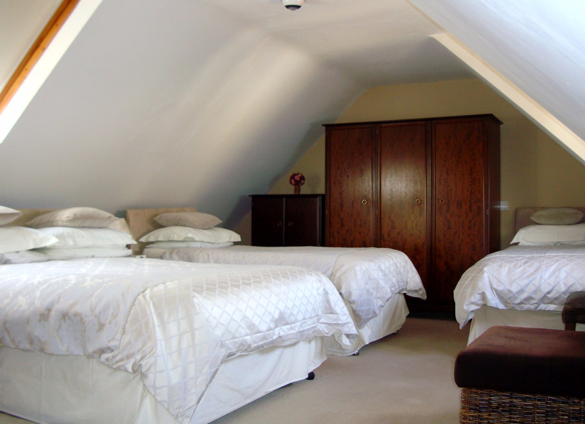 Tally Ho Bed and Breakfast-官方