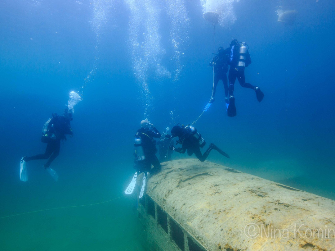 Pennyroyal Scuba Blue Springs Resort景点图片