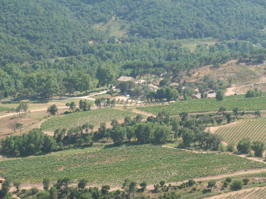 Domaine Sainte Marie-博尔默勒米莫萨必去景点