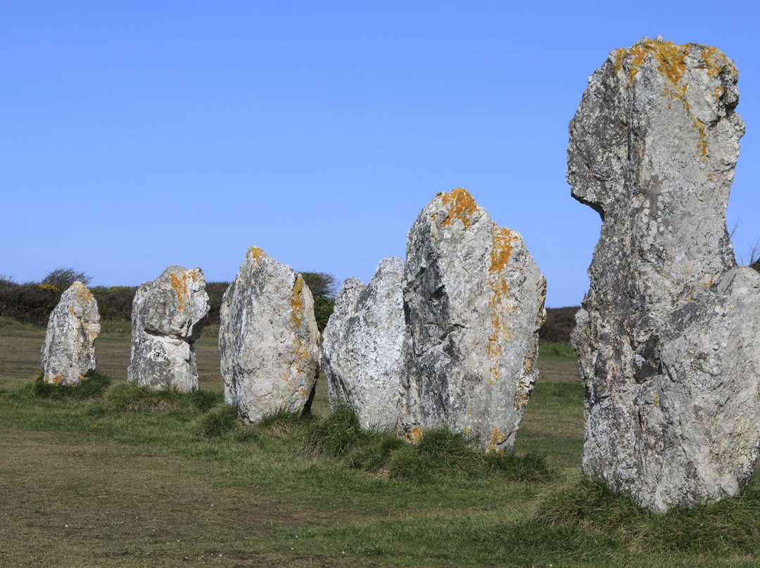 Menhirs de Lagatjar景点图片