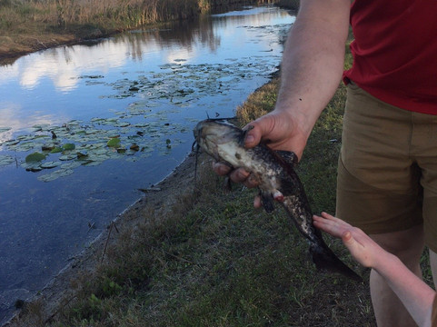 Savannas Recreation Area-匹尔斯堡必去景点