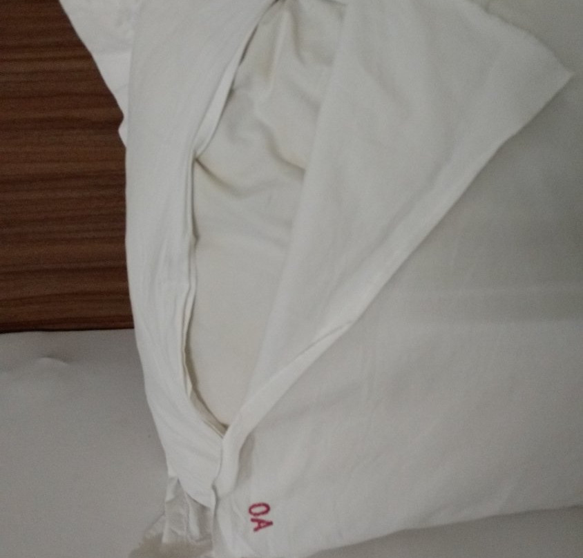 Oyster Airport Hotel主图