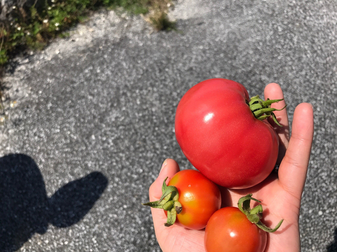 MInshuku Agatamura主图