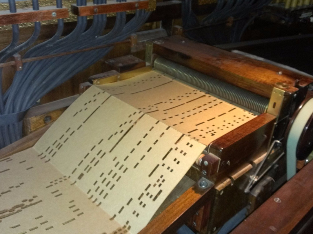 Skyrock Farm-Medina必去景点