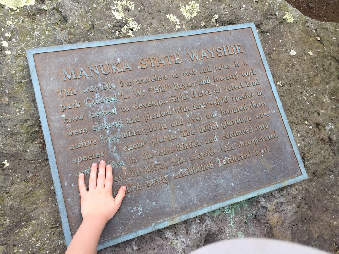 Manuka State Wayside Park-纳勒胡必去景点