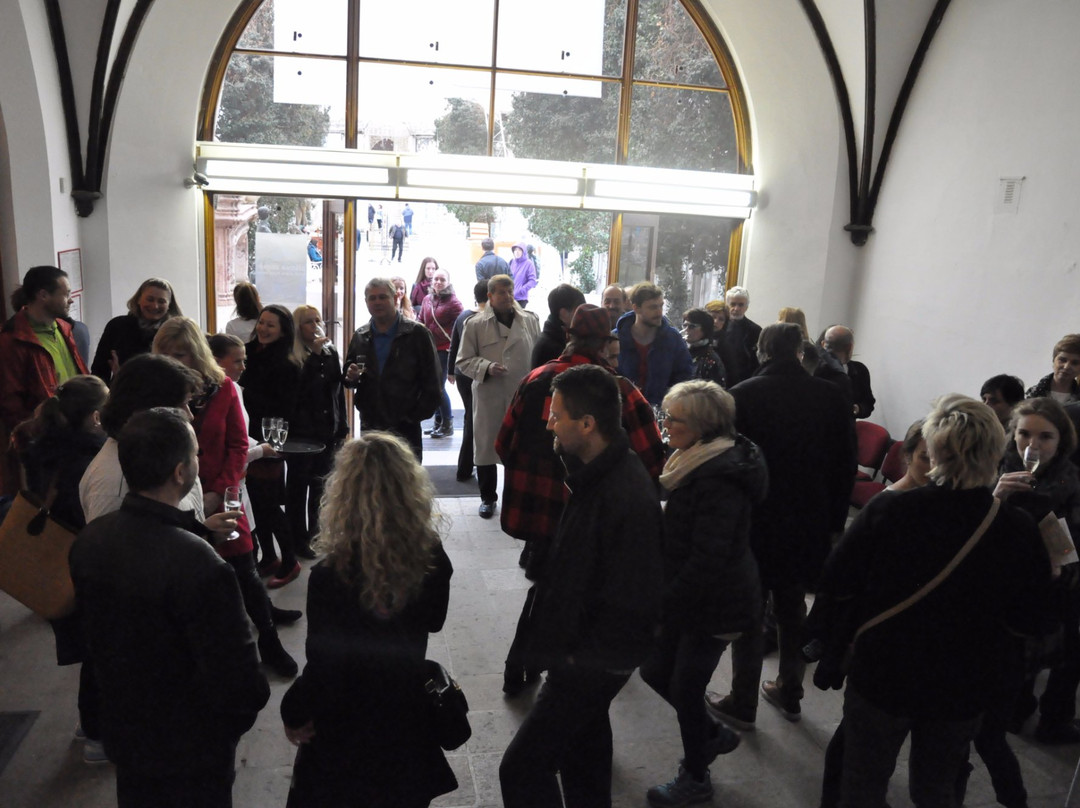 Alsova jihoceska galerie景点图片