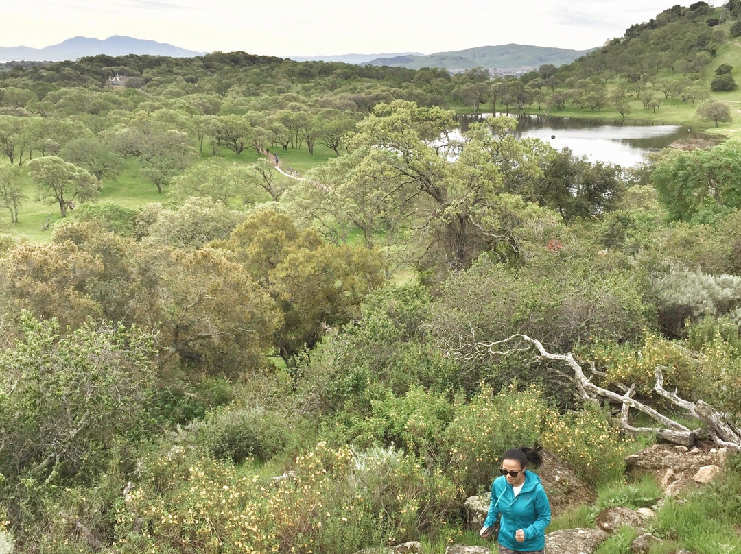 Rockville Hills Regional Park-费尔菲尔德必去景点